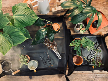 Plant Mat & Pruners for Repotting / Potting Tarp | Gardening essentials and must-have plant tools and accessories | 2 sizes available