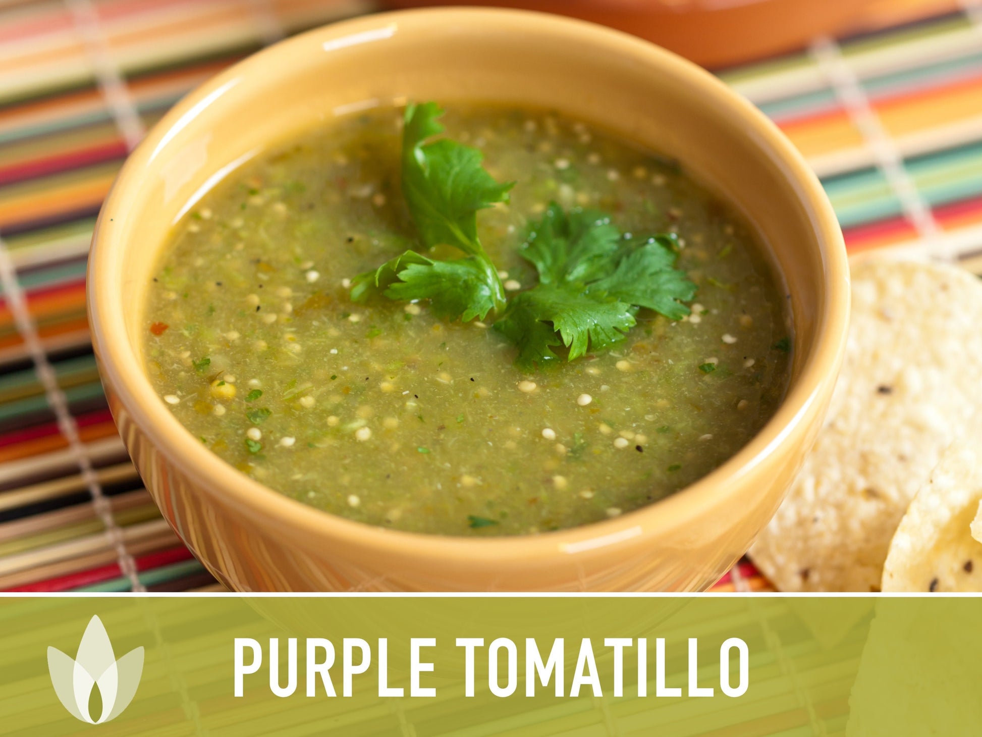 Tomatillo Purple Tomato Heirloom Seeds