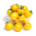 Aztek Tomato Seeds: Sweet Yellow Micro Dwarf Variety