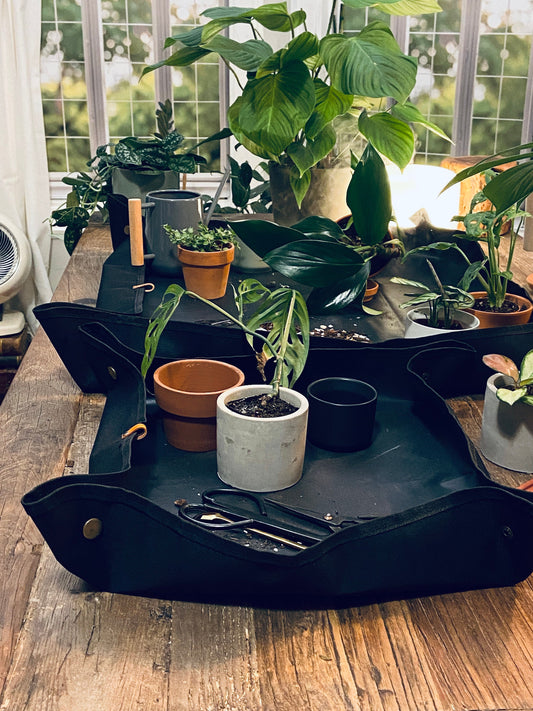 Plant Mat & Pruners for Repotting / Potting Tarp | Gardening essentials and must-have plant tools and accessories | 2 sizes available