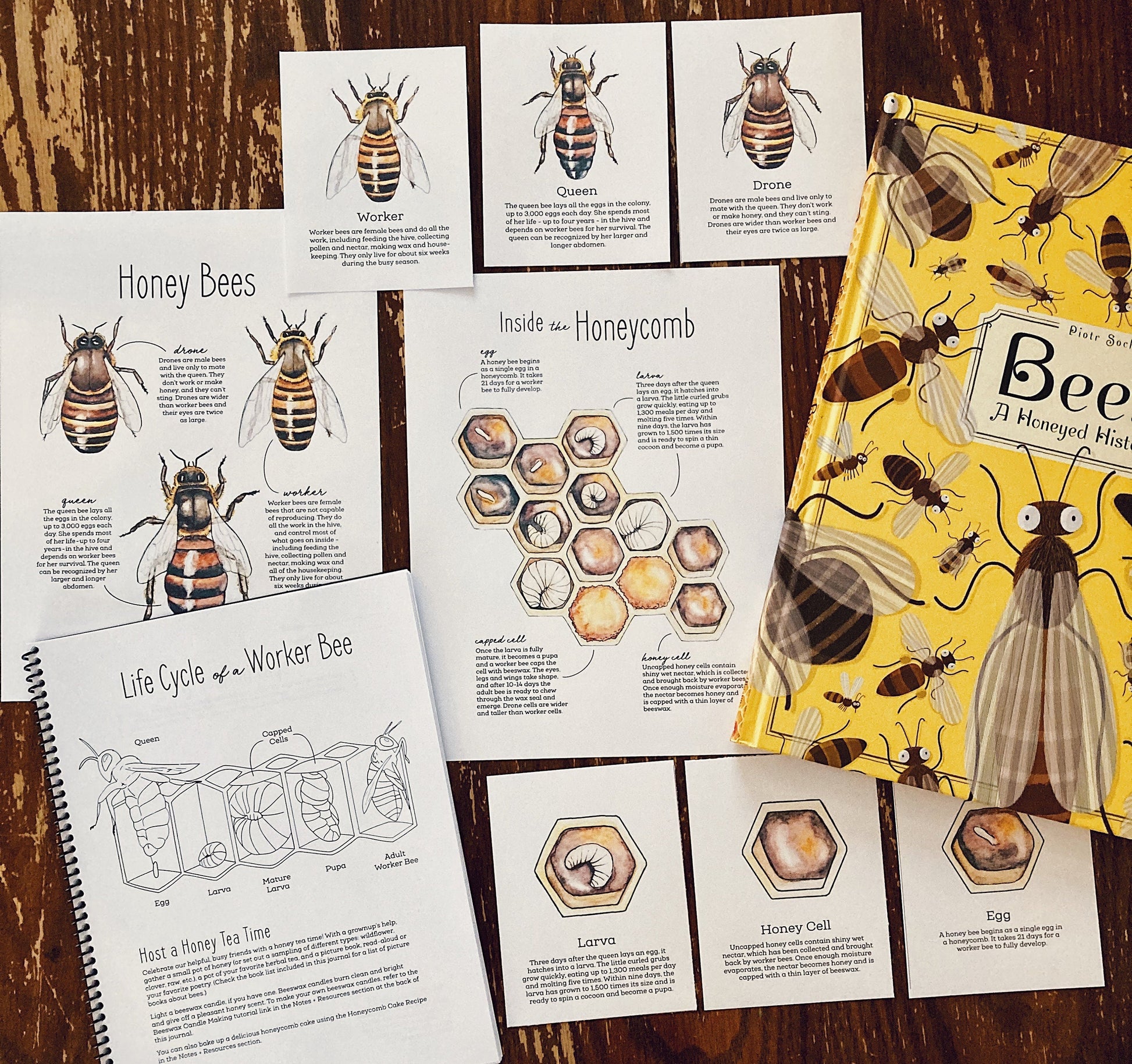 Nature Journal BUNDLE
