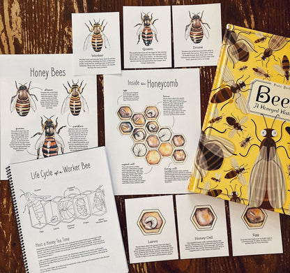 Nature Journal BUNDLE