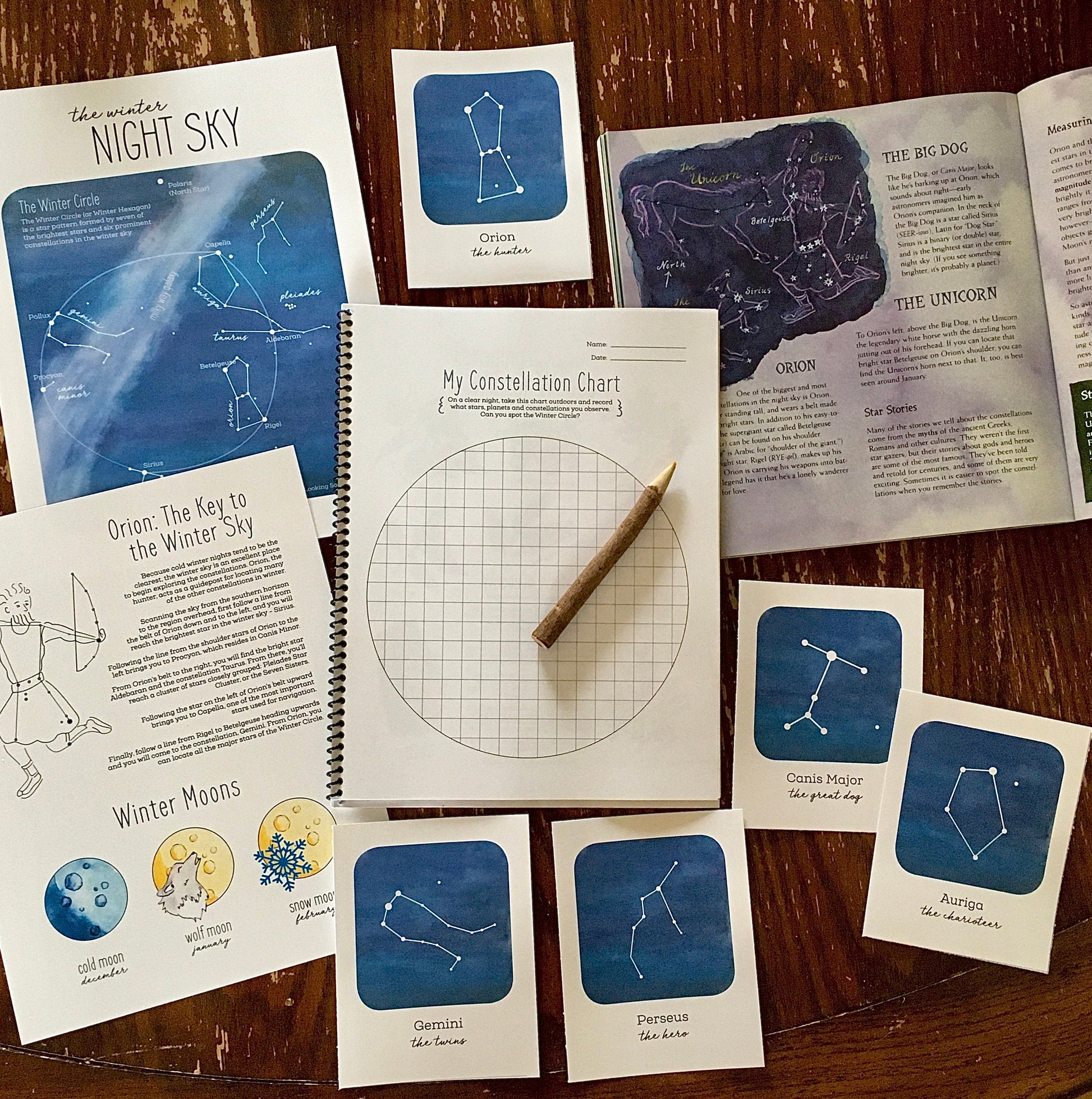 Nature Journal BUNDLE