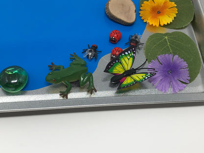 Magnetic Sensory Board- Pond-