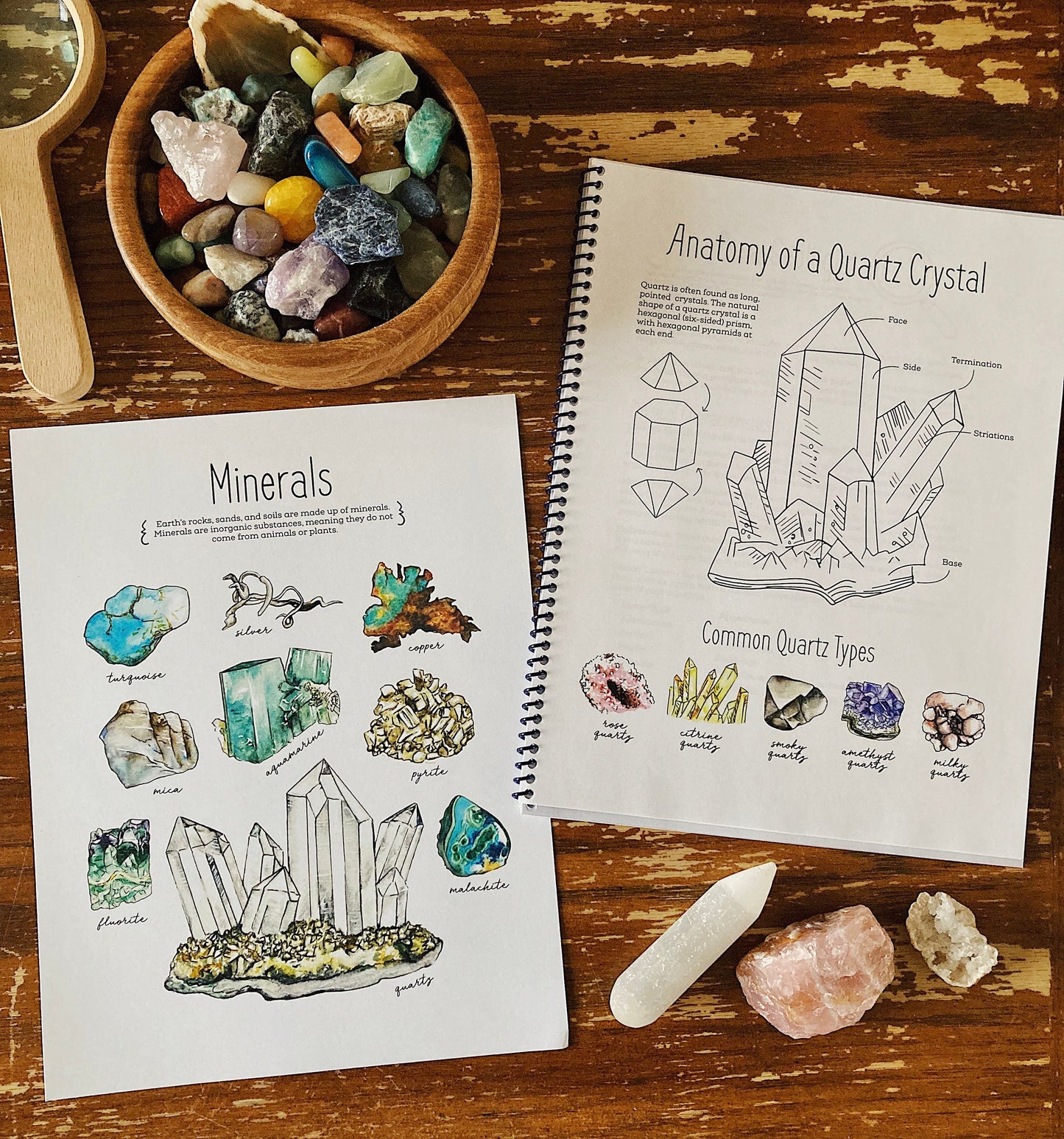 Nature Journal BUNDLE