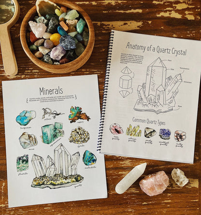 Nature Journal BUNDLE