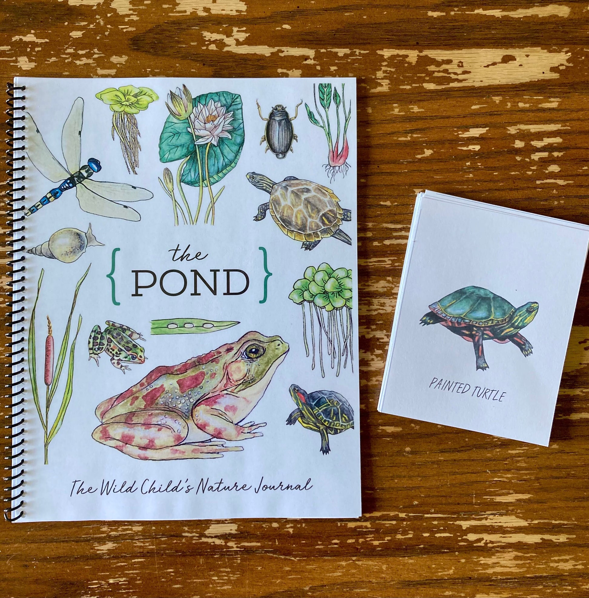 Nature Journal BUNDLE