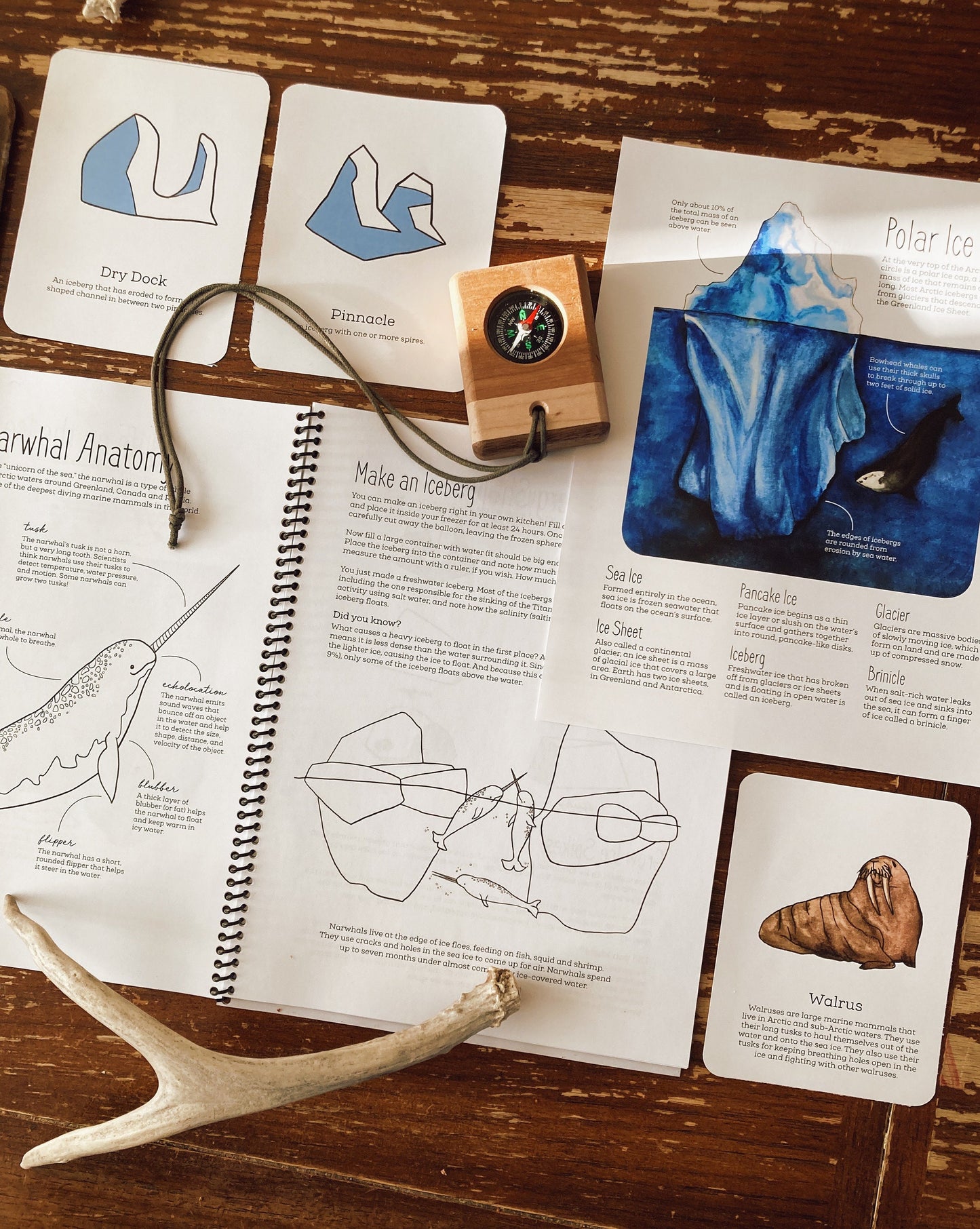 Nature Journal BUNDLE