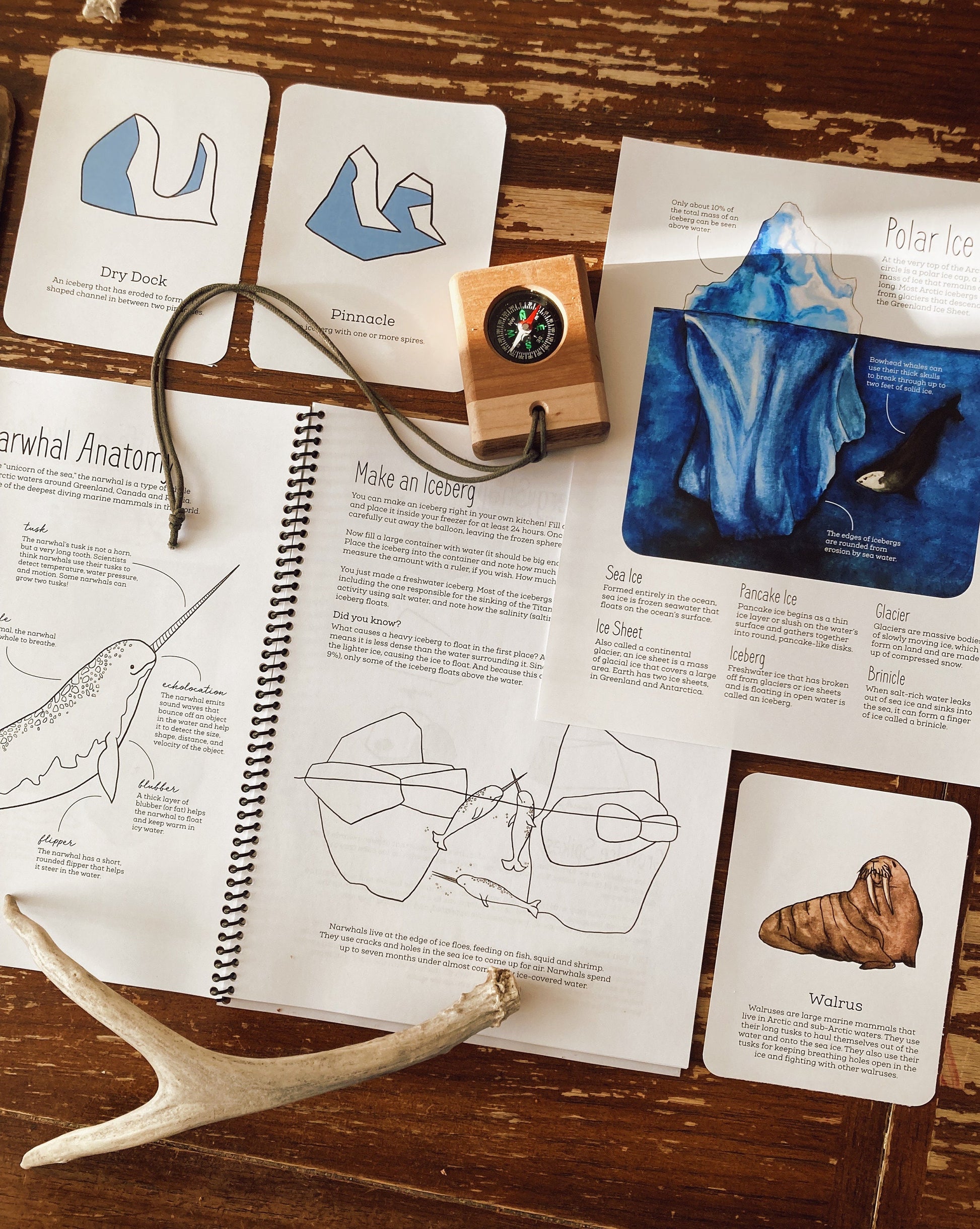 Nature Journal BUNDLE