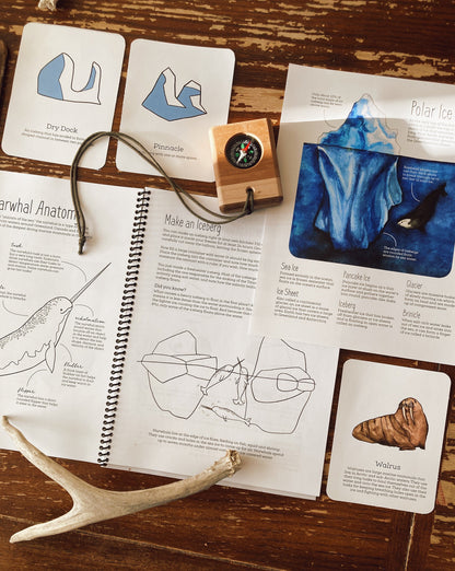 Nature Journal BUNDLE