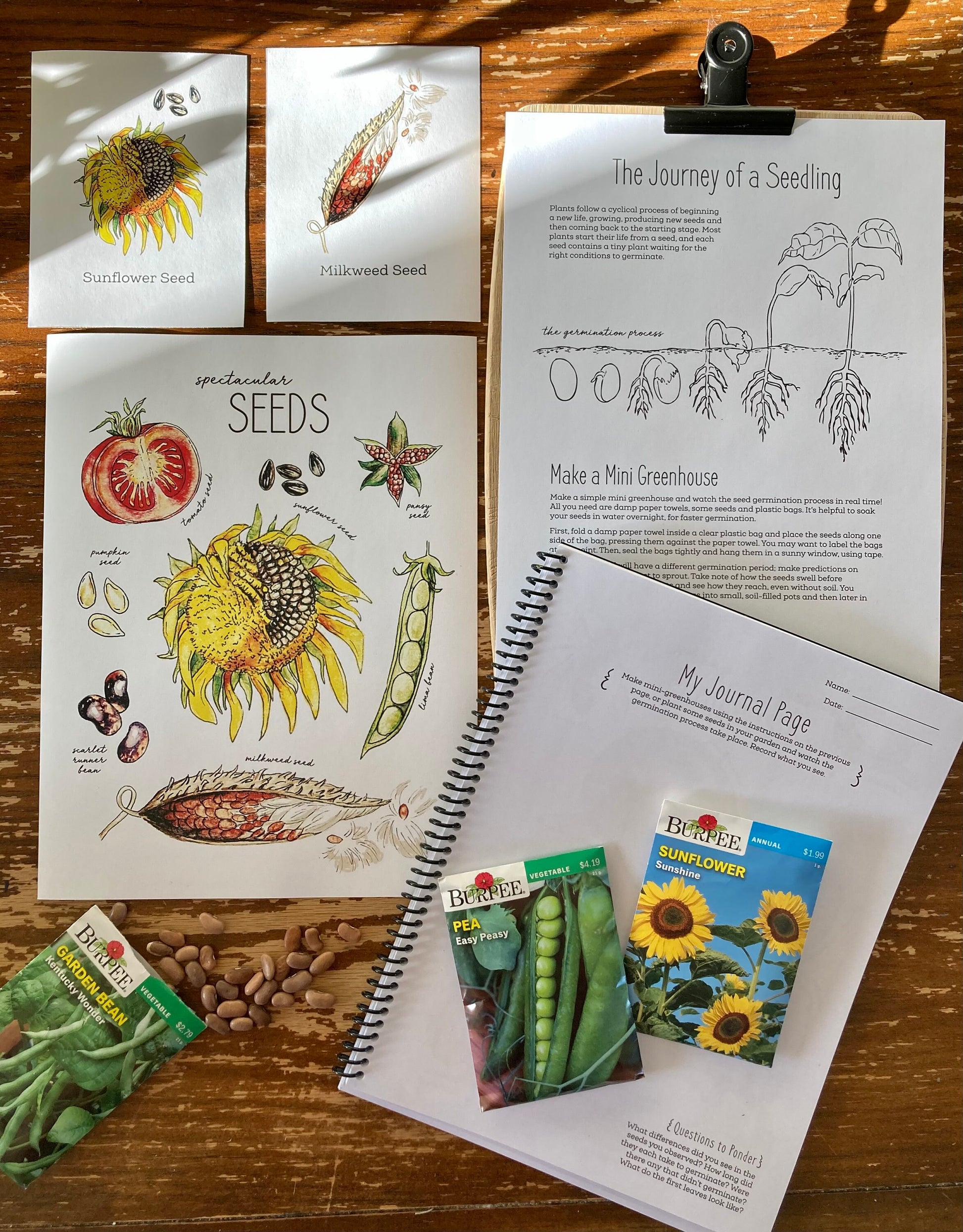 Nature Journal BUNDLE
