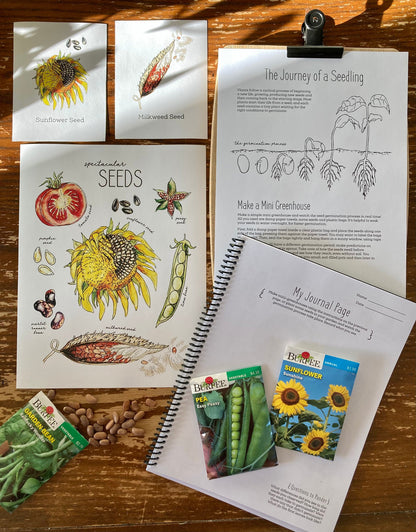Nature Journal BUNDLE