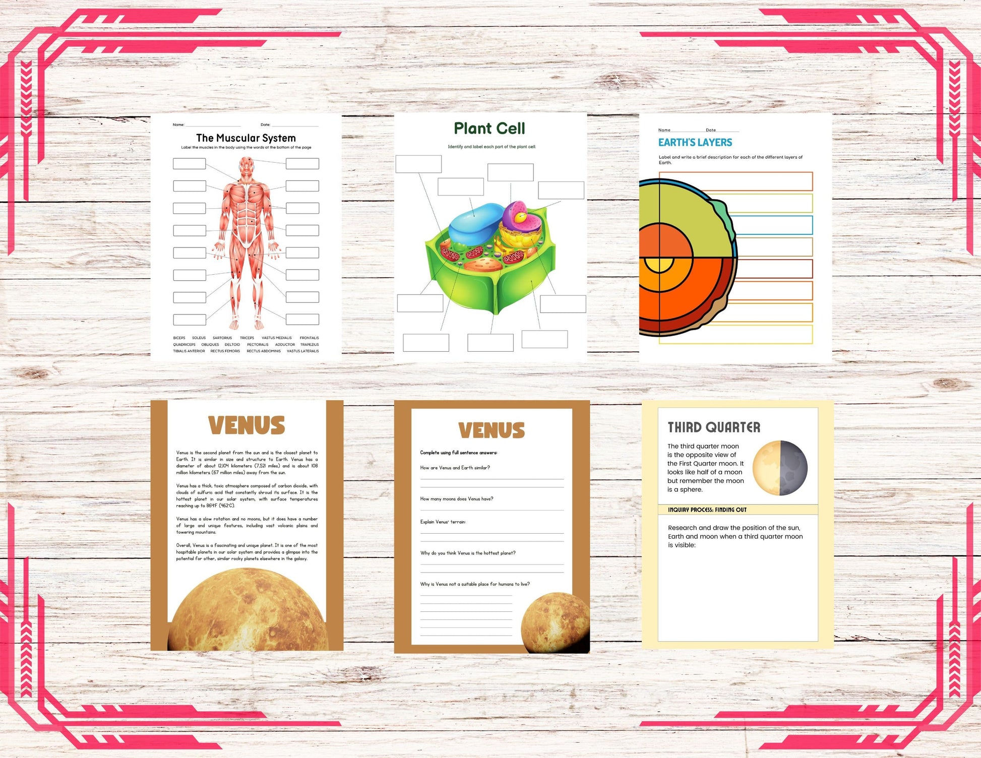 Middle School Science Bundle | Digital Downloads | Printable Sheets | Learning Fun For Middle School