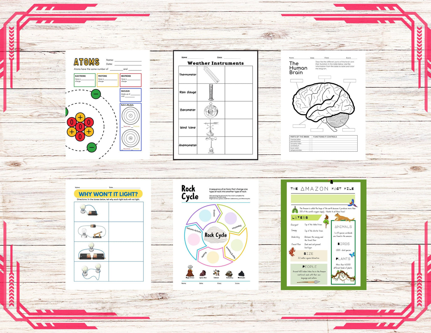Middle School Science Bundle | Digital Downloads | Printable Sheets | Learning Fun For Middle School
