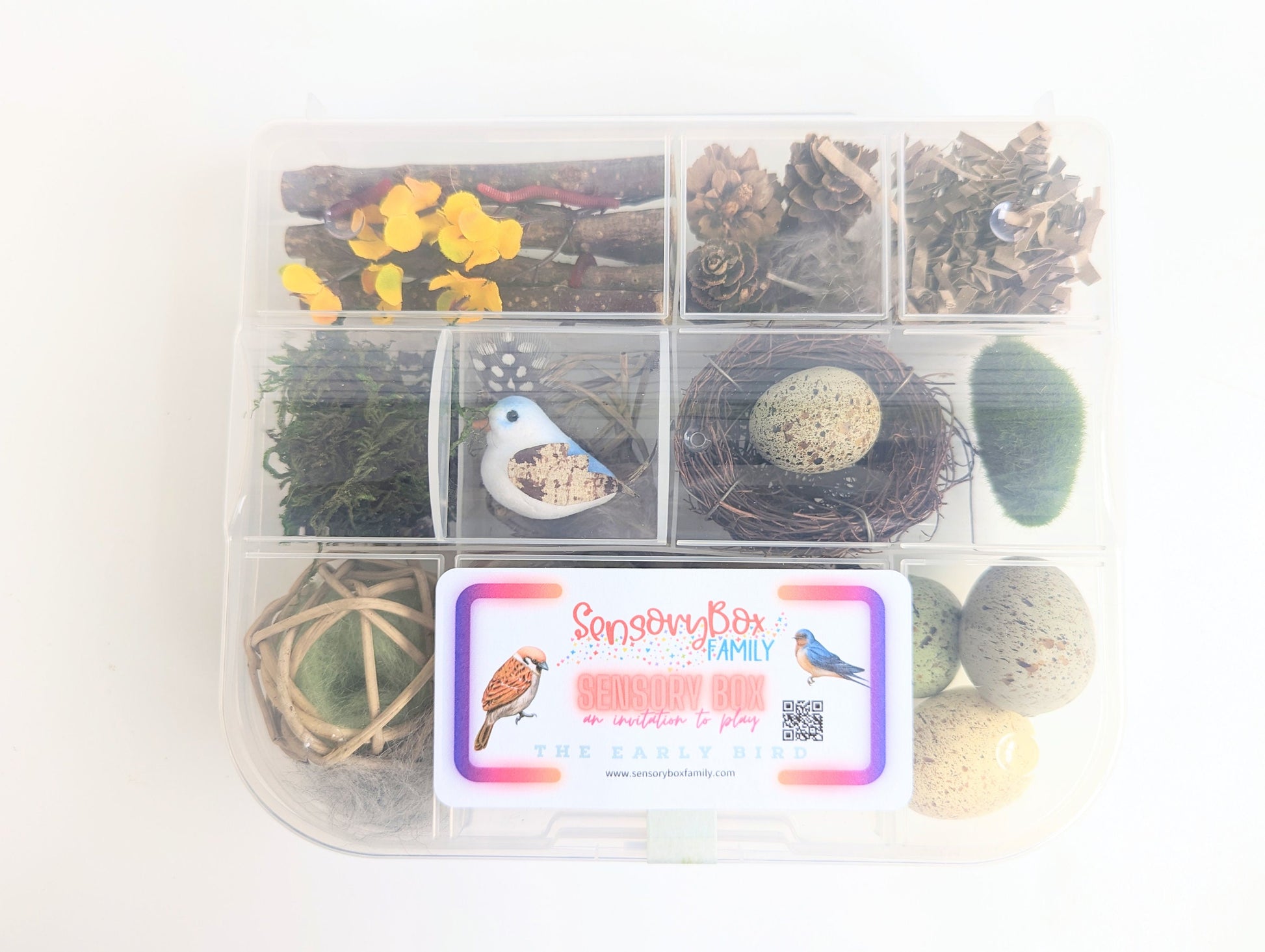 Bird Themed Sensory Box Loose Parts Play Tinker Tray Montessori