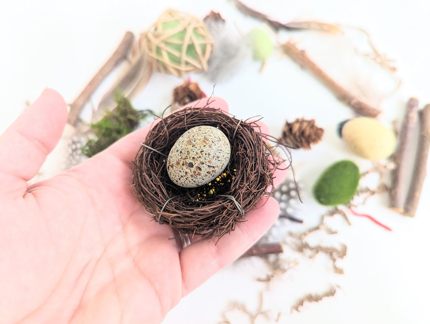Bird Themed Sensory Box Loose Parts Play Tinker Tray Montessori