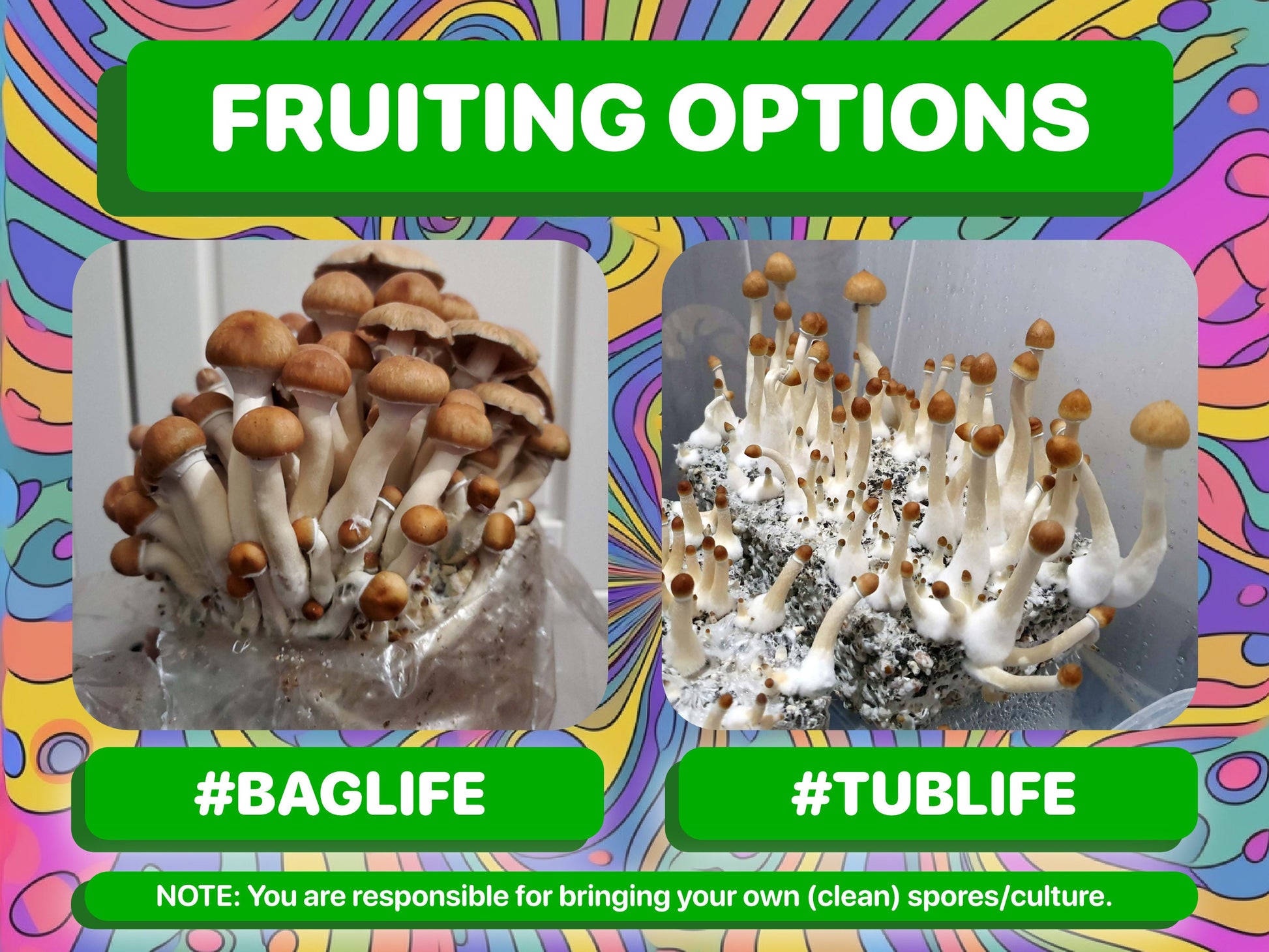 20x "IT'S MAGIC" Mushroom All In One Grow Bag - 100lb - 20 PACK!!