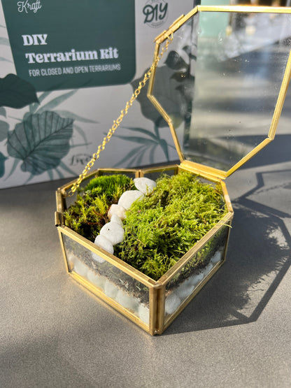 Fresh Moss Terrarium Kit: Golden Wardian Case, Live Plants (VIDEO INSTRUCTIONS)