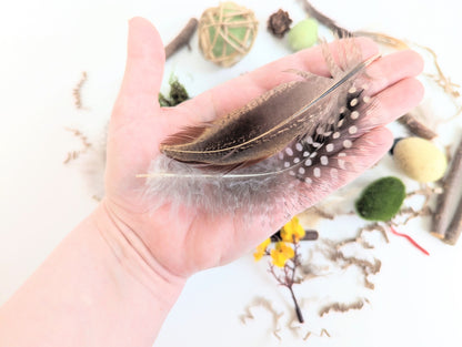 Bird Themed Sensory Box Loose Parts Play Tinker Tray Montessori