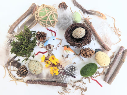 Bird Themed Sensory Box Loose Parts Play Tinker Tray Montessori