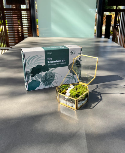 Fresh Moss Terrarium Kit: Golden Wardian Case, Live Plants (VIDEO INSTRUCTIONS)