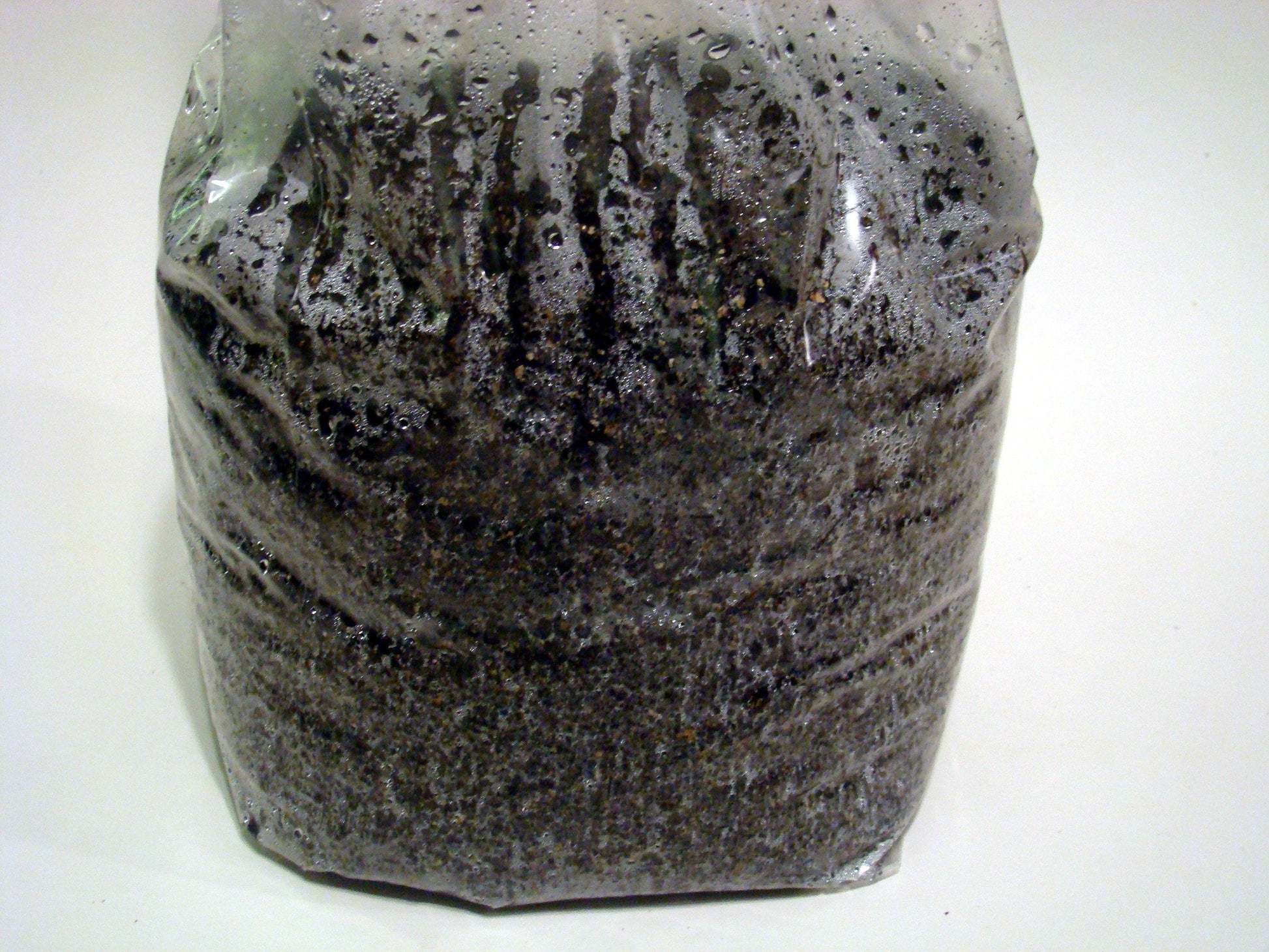 Mushroom Bulk Substrate - 16 LBS Big Box - Dung Lovers - Pasteurized Manure, Worm Castings, Coco Coir, Vermiculite - Fast Colonizing!