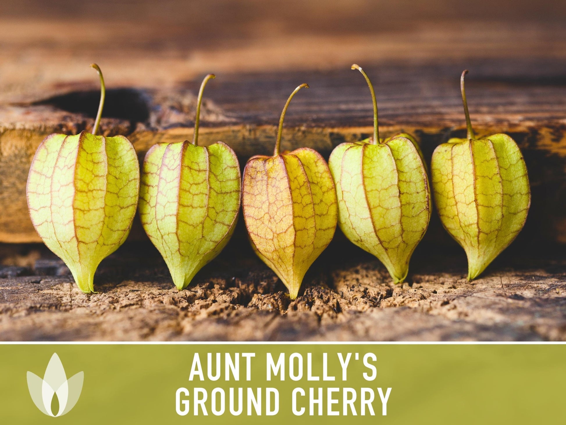 Tomatillo, Aunt Molly's Ground Cherry Seeds - Heirloom Seeds, Cape Gooseberry, Husk Tomato Seeds, Golden Berry, Open Pollinated, Non-GMO