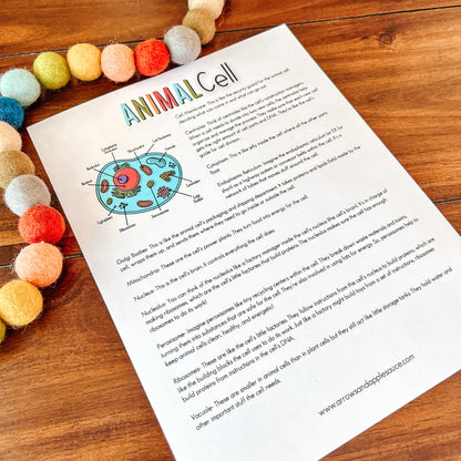 Cell Structure Diagram Printable Bundle, Plant Cell, Animal Cell, Biology Lesson, Kids Homeschool Activity, Earth Science, Coloring Page