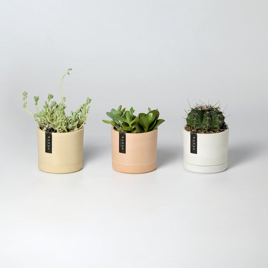 3" Mini Planters | Set of 3 Planters with Drainage Hole & Saucers | Small Cactus Planter | Ceramic Imitation | Indoor Planter Houseplant Pot