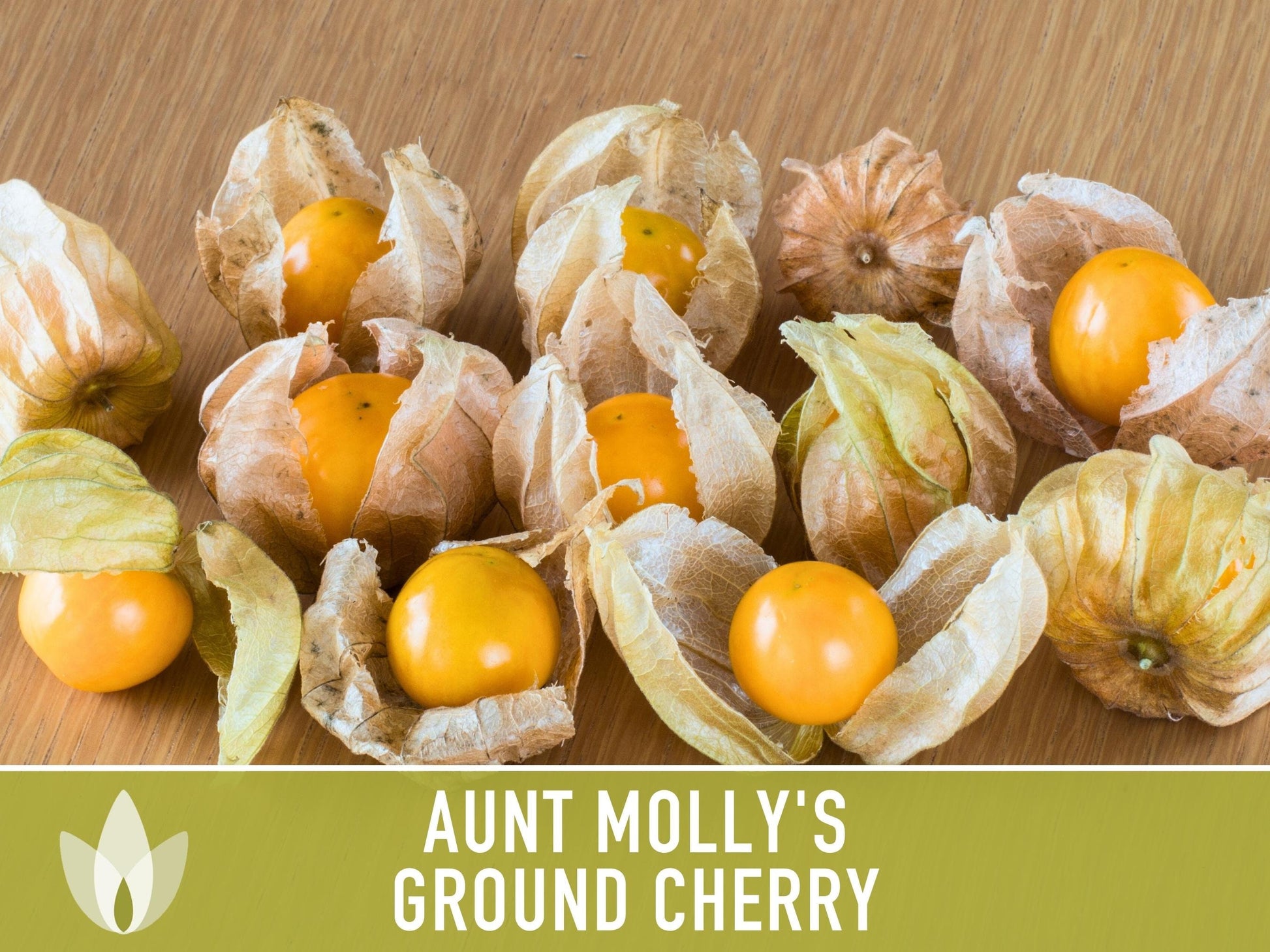 Tomatillo, Aunt Molly's Ground Cherry Seeds - Heirloom Seeds, Cape Gooseberry, Husk Tomato Seeds, Golden Berry, Open Pollinated, Non-GMO