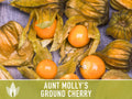 Tomatillo, Aunt Molly's Ground Cherry Seeds - Heirloom Seeds, Cape Gooseberry, Husk Tomato Seeds, Golden Berry, Open Pollinated, Non-GMO
