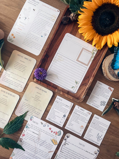 DIGITAL Science botany 8 week lesson plan, montessori wall art, homeschool