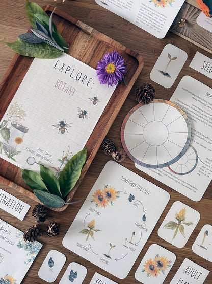 DIGITAL Science botany 8 week lesson plan, montessori wall art, homeschool
