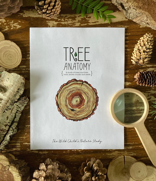 Tree Anatomy Nature Study - Charlotte Mason Unit Study