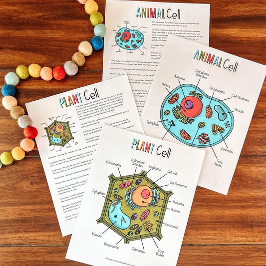 Cell Structure Diagram Printable Bundle, Plant Cell, Animal Cell, Biology Lesson, Kids Homeschool Activity, Earth Science, Coloring Page