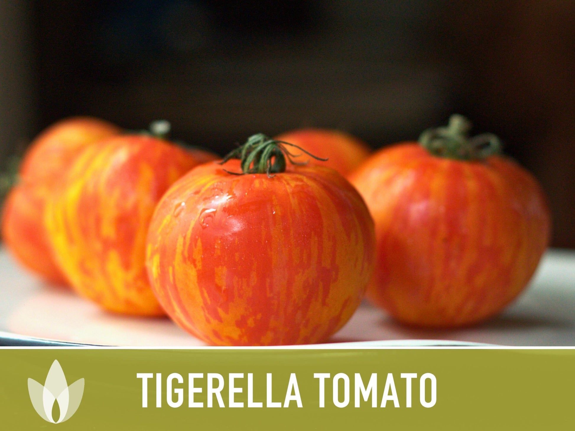 Tigerella Tomato Seeds - Heirloom Seeds, Tiger-striped Tomato, Green Zebra, Solanum Lycopersicum, Open Pollinated, Non-GMO