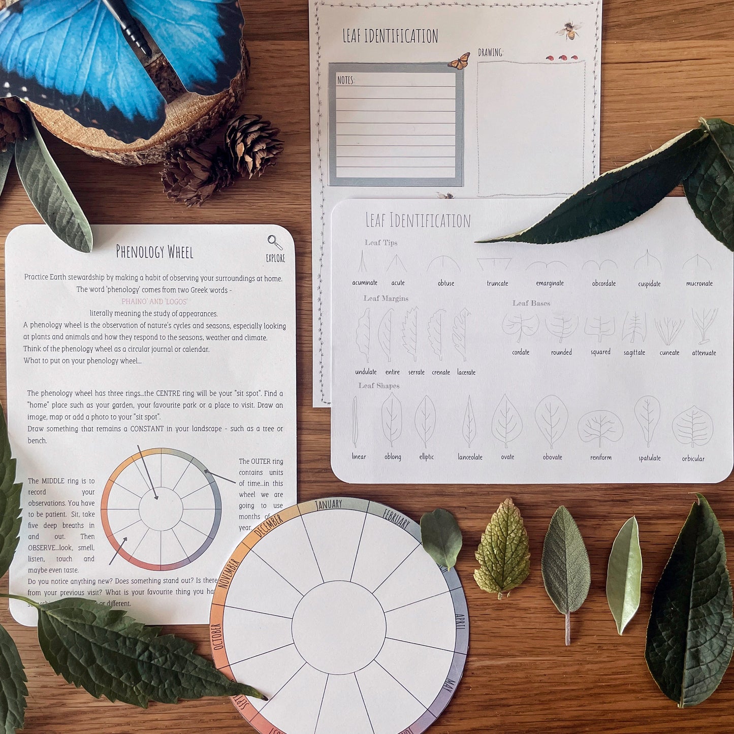 DIGITAL Science botany 8 week lesson plan, montessori wall art, homeschool
