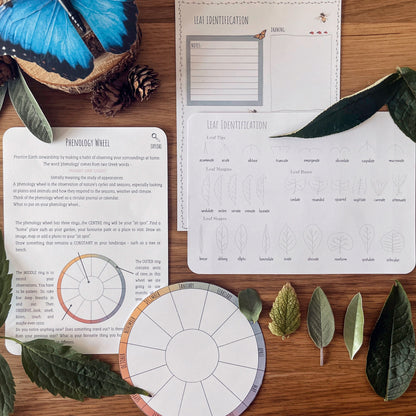 DIGITAL Science botany 8 week lesson plan, montessori wall art, homeschool