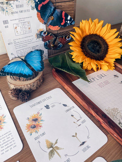 DIGITAL Science botany 8 week lesson plan, montessori wall art, homeschool