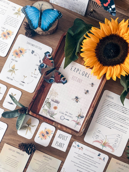 DIGITAL Science botany 8 week lesson plan, montessori wall art, homeschool