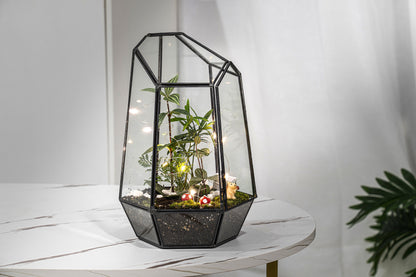 Large Terrarium Kit DIY / live Moss / Tropical Plant, bioactive terrarium, Holiday, birthday gift, Halloween gift, stem kit for kids