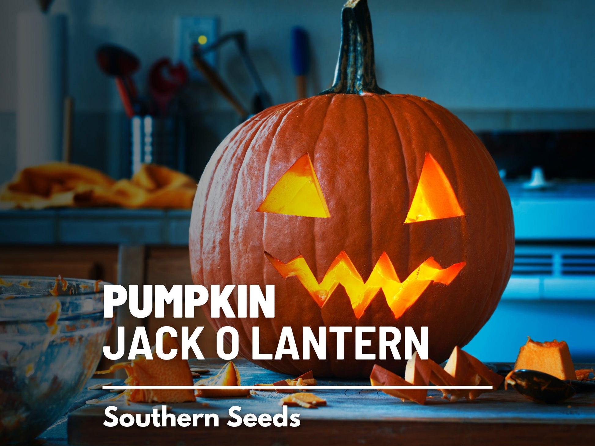 Jack O’Lantern Pumpkin Seeds – Heirloom Vegetable, Classic Carving Pumpkin, Non-GMO, Ideal for Halloween Decorations | 20 Seeds