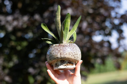 Mushroom Planting Pot