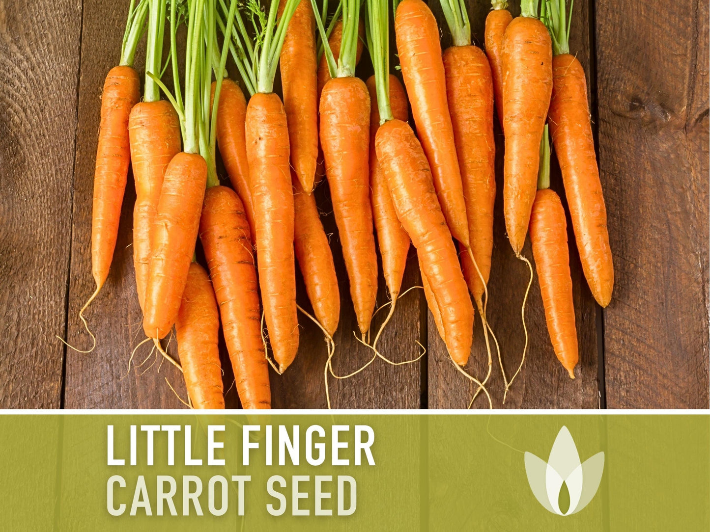 Children'S Garden - Heirloom Seed Collection, 10 Hand-Selected Seed Packets of Open Pollinated, Non-Gmo Heirloom Seeds