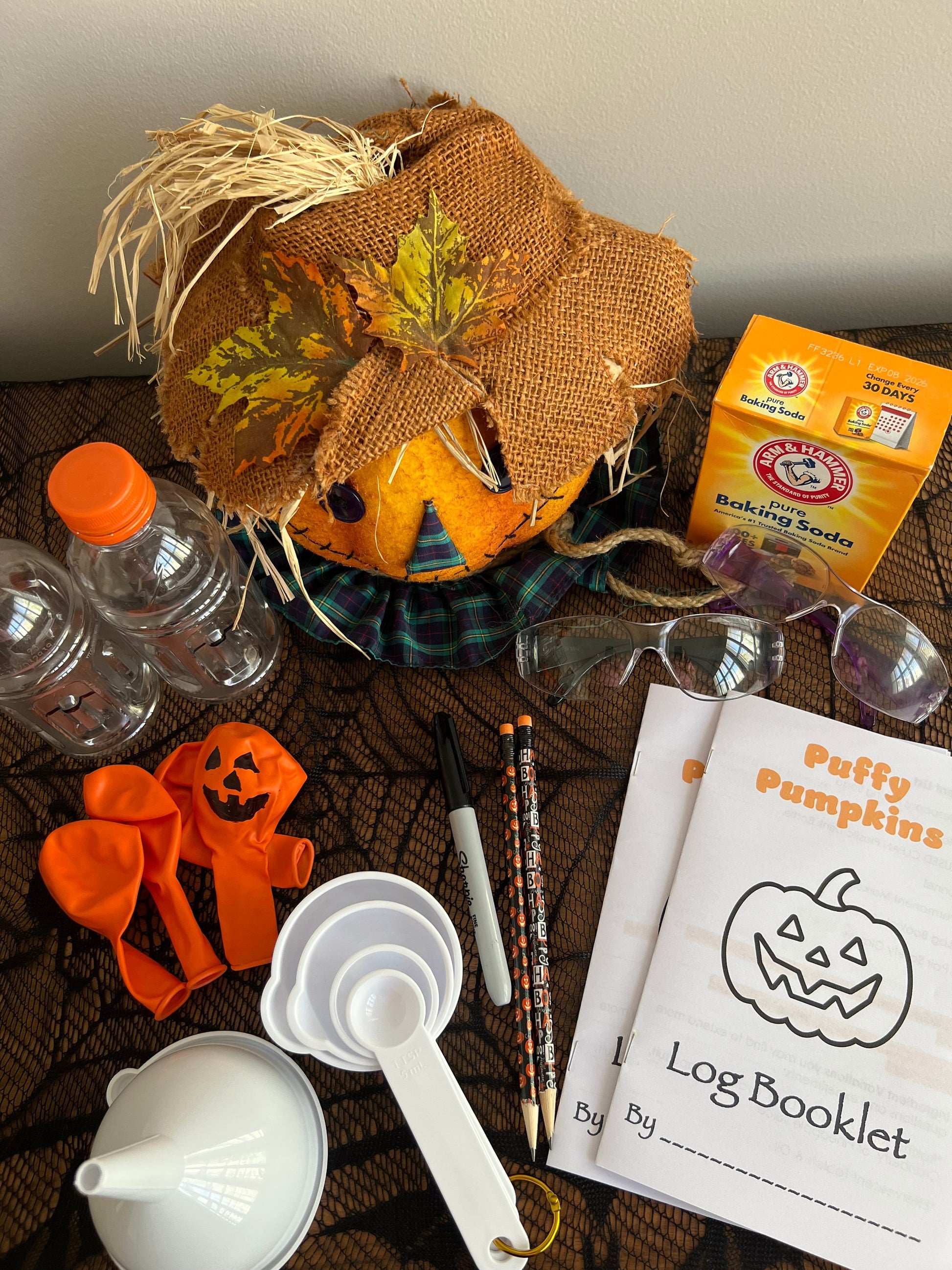 Spooky S.T.E.A.M. Science Lab: Franken Fizz, Gassy Ghost & Puffy Pumpkin Experiments