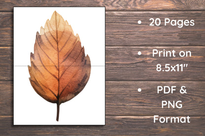 Matching Leaves, 20 Cards,Fall Activity for Kids, Toddler Activity, Homeschool Resource, Montessori Materials, Sensory Table Printable,