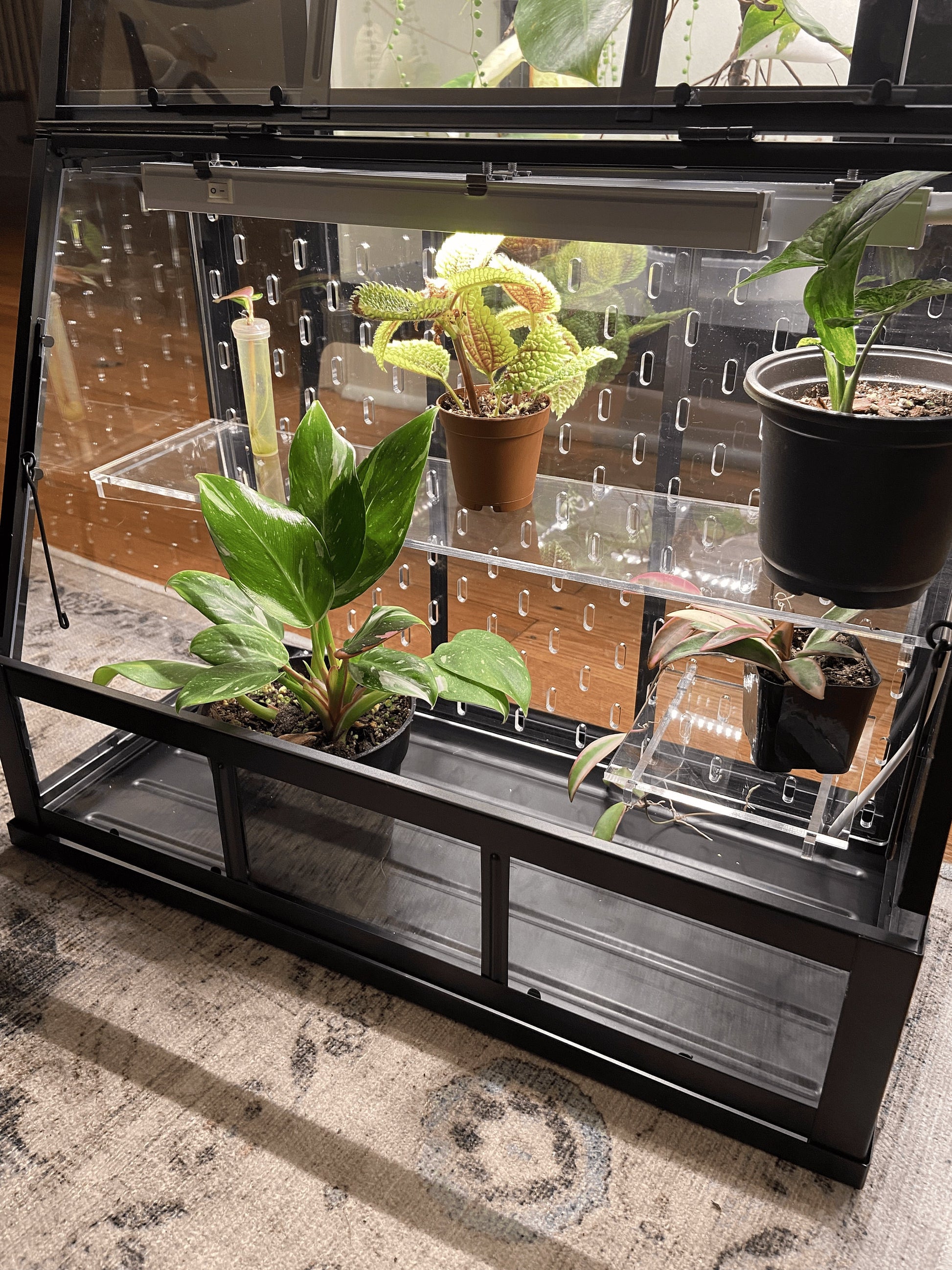 Akerbar Small Pegboard and Shelf Acrylic Kit - Ikea Greenhouse - SKADIS - 17" model