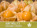 Tomatillo, Aunt Molly's Ground Cherry Seeds - Heirloom Seeds, Cape Gooseberry, Husk Tomato Seeds, Golden Berry, Open Pollinated, Non-GMO