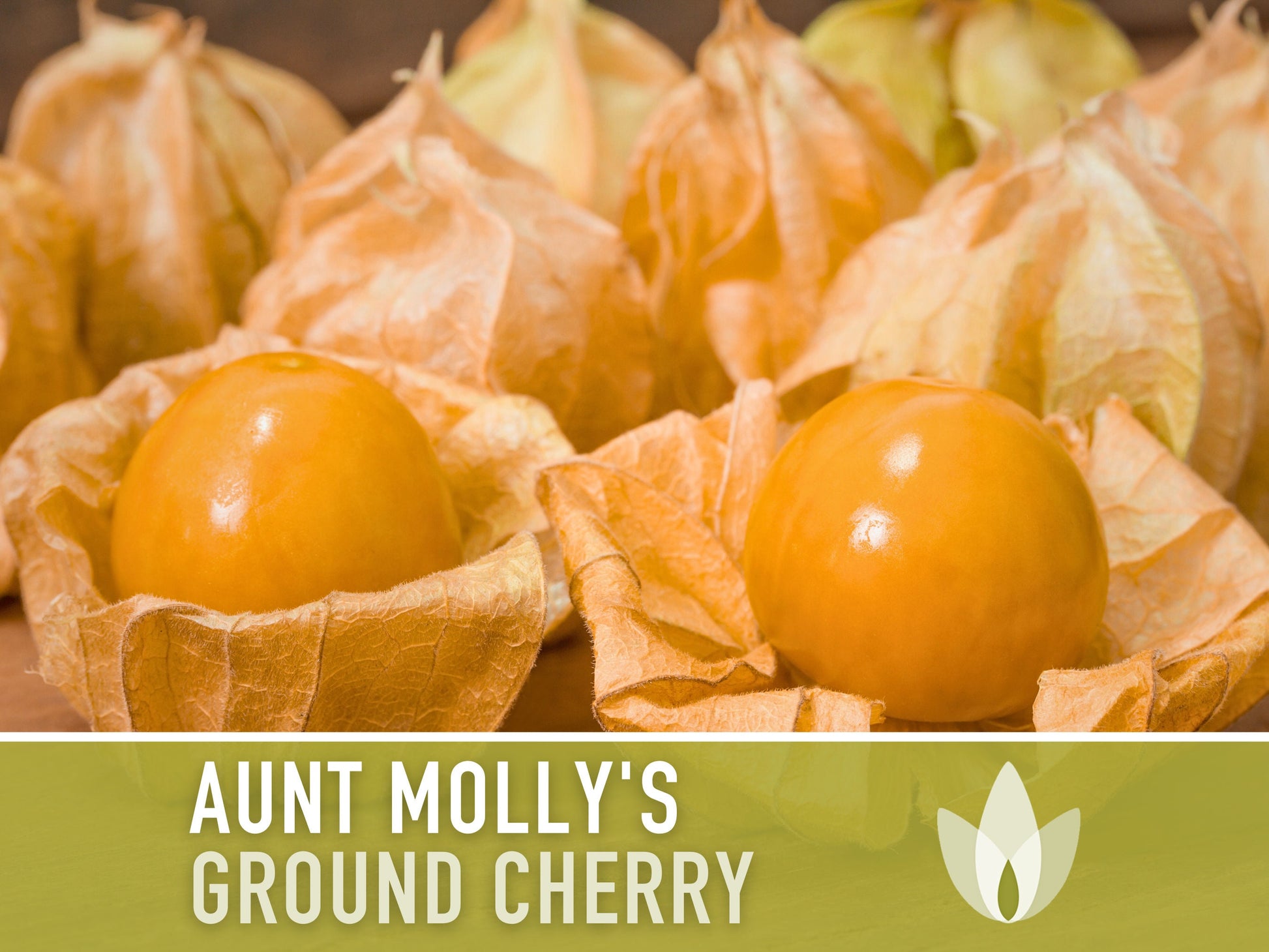 Tomatillo, Aunt Molly's Ground Cherry Seeds - Heirloom Seeds, Cape Gooseberry, Husk Tomato Seeds, Golden Berry, Open Pollinated, Non-GMO