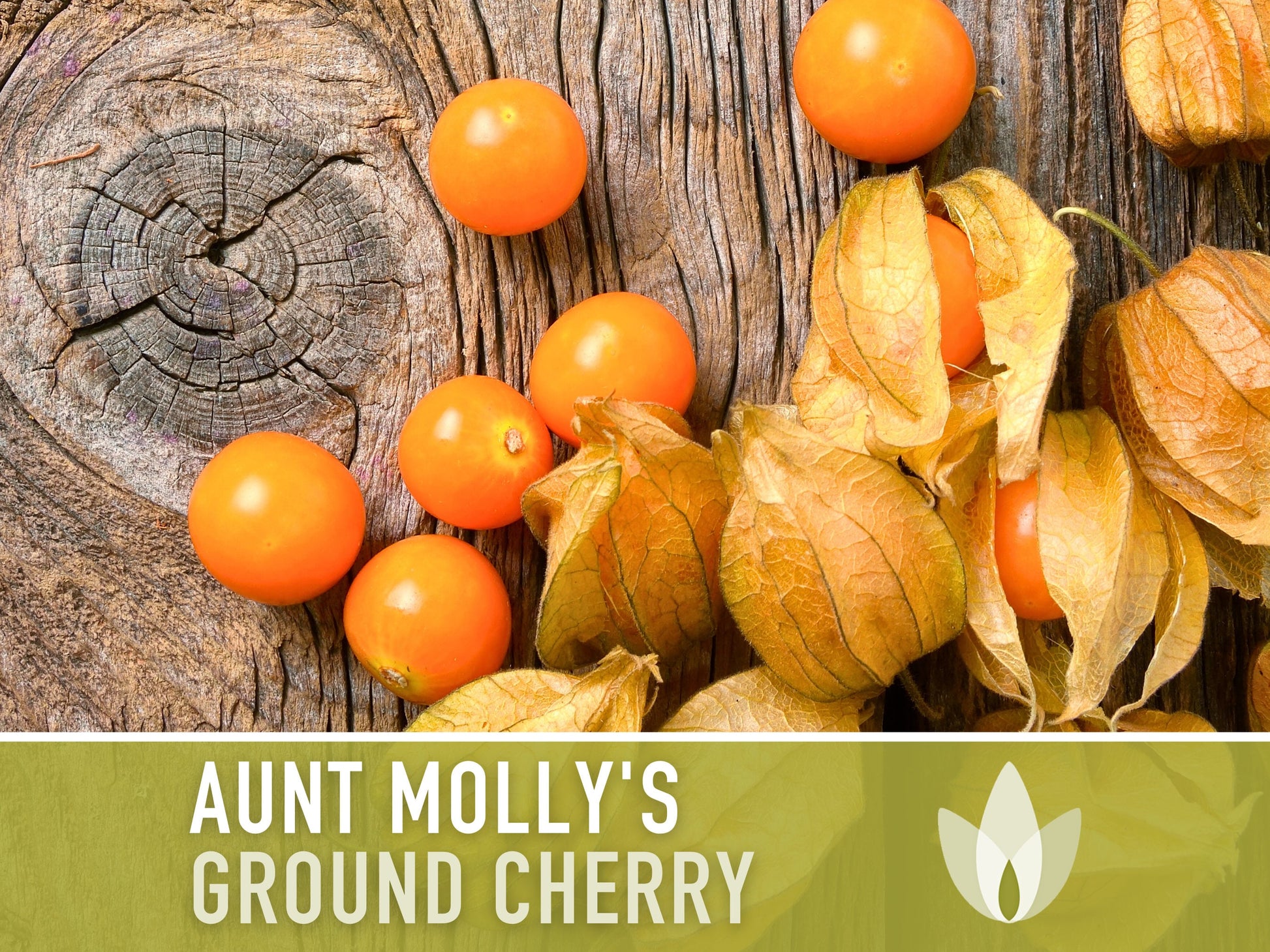 Tomatillo, Aunt Molly's Ground Cherry Seeds - Heirloom Seeds, Cape Gooseberry, Husk Tomato Seeds, Golden Berry, Open Pollinated, Non-GMO